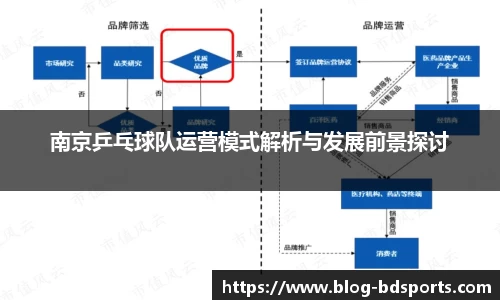 南京乒乓球队运营模式解析与发展前景探讨